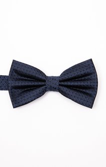 Noeud papillon en soie