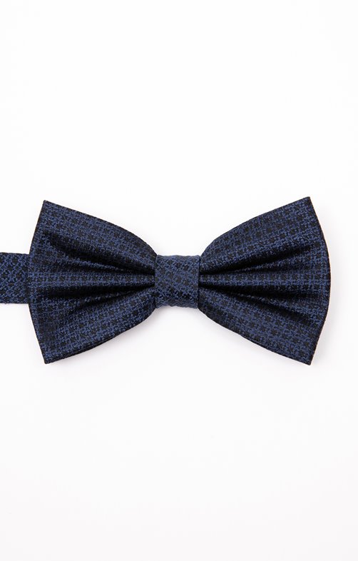 Noeud papillon en soie