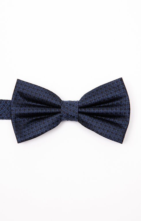 Noeud papillon en soie
