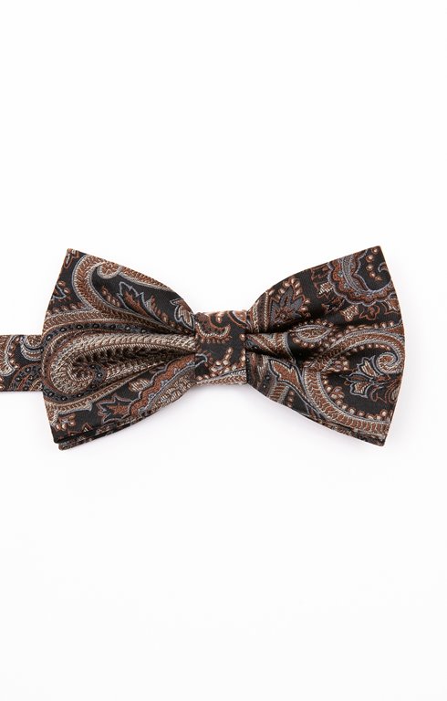 Noeud papillon Browncash