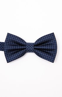 Noeud papillon en soie
