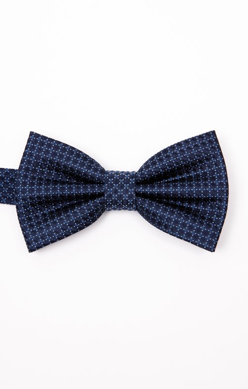 Noeud papillon en soie