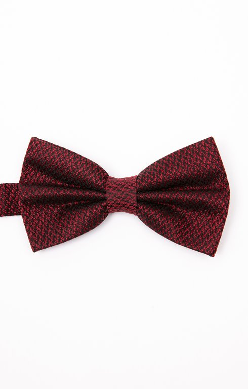 Noeud papillon en soie