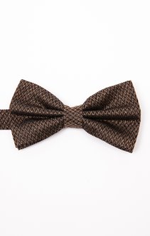 Noeud papillon en soie
