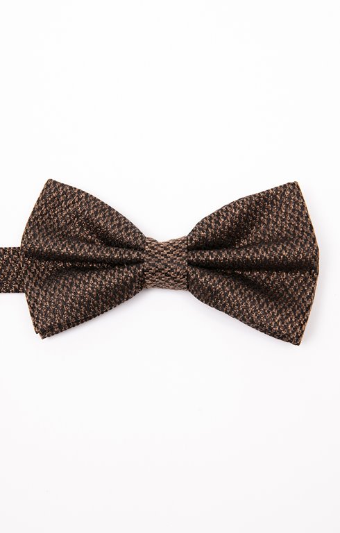 Noeud papillon en soie