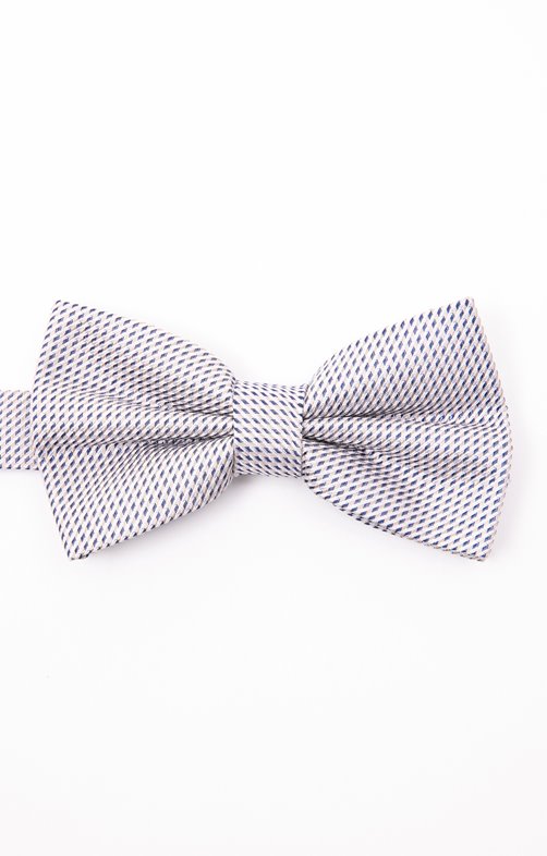 Noeud papillon en soie