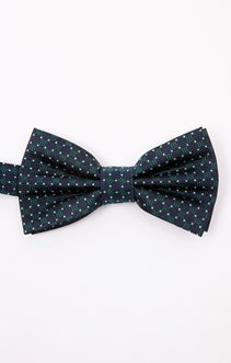 Noeud papillon en soie 