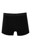 Boxer Abdos