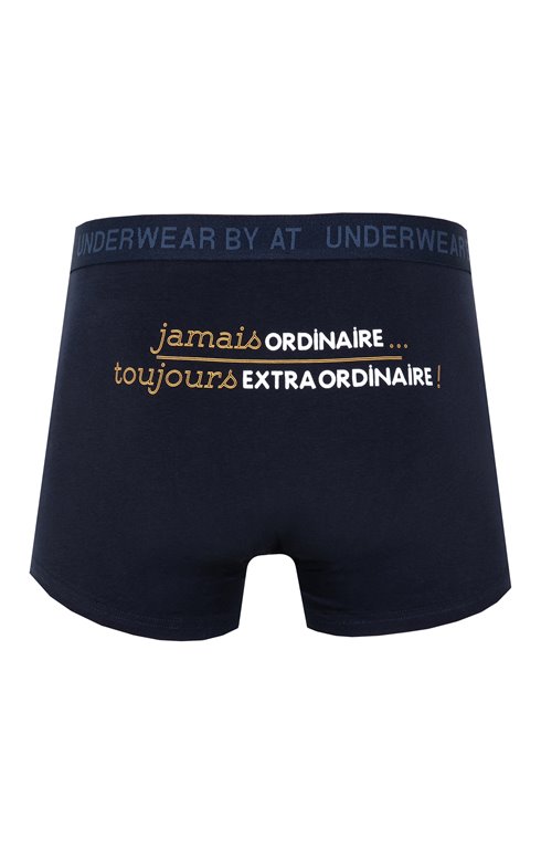 Boxer Extraordinaire 