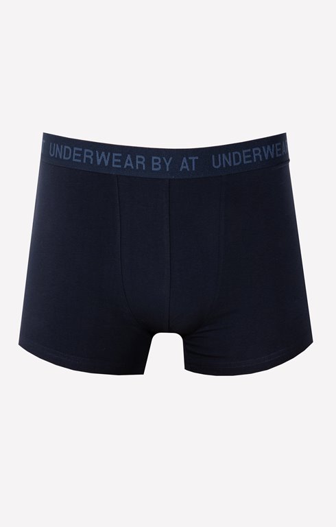 Boxer papa coach