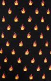 Boxer Flammes