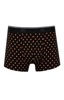 Boxer Flammes