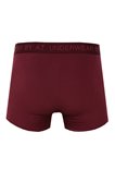 Boxer uni