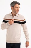 Pull col polo rayé Stripe