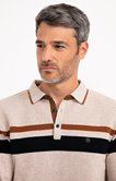Pull col polo rayé Stripe