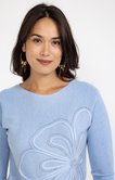 Pull avec broderie