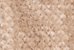 NOUGAT