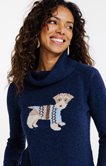 Pull chien placé