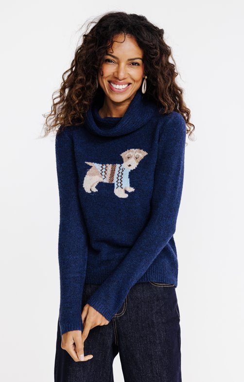 Pull chien placé