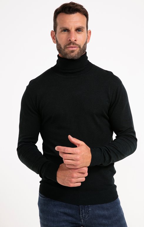 Pull col roulé uni 