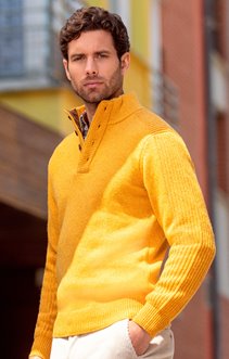 Pull col montant boutons