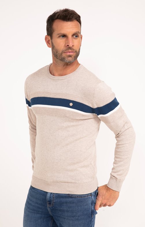 Pull col rond rayé Multiray